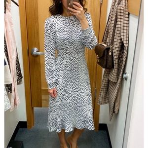 J Crew Long Sleeve Dress
